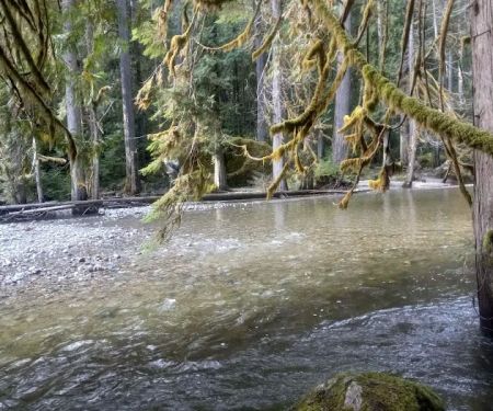 Sauk Park Campground