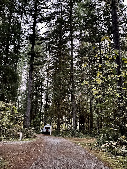 Sauk Park Campground Picture 7