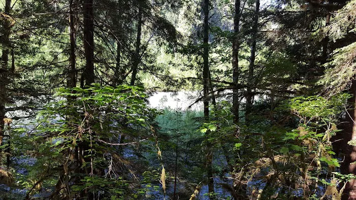 Mineral Park Campground Picture 2