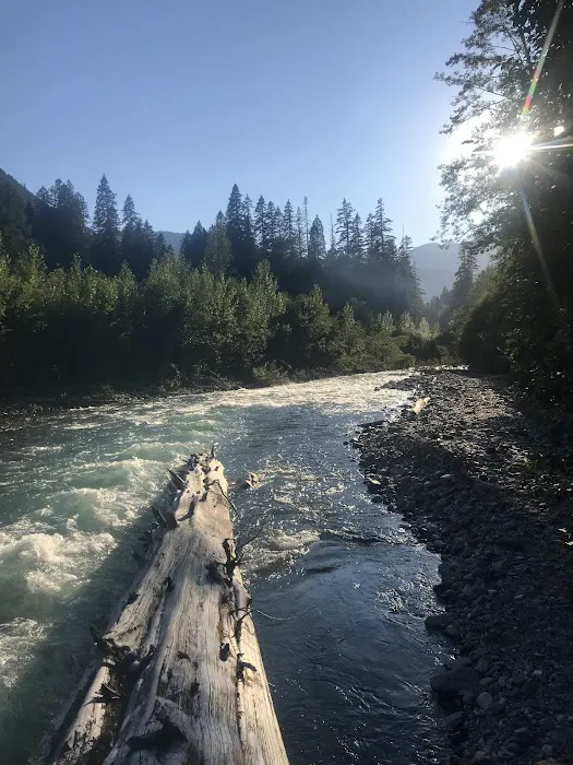Mineral Park Campground Picture 4