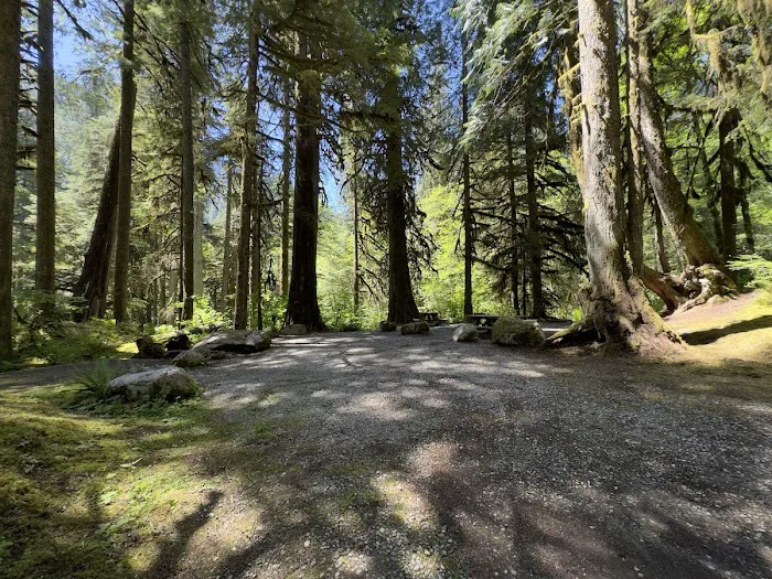 Mineral Park Campground Picture 7