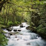 Mineral Park Campground