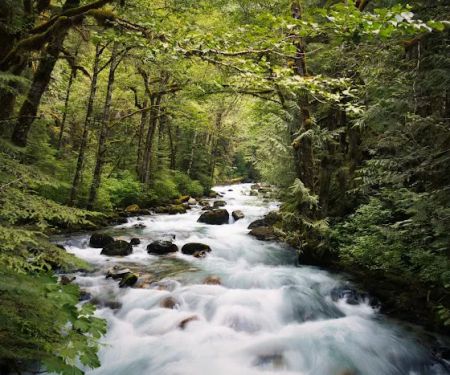 Mineral Park Campground