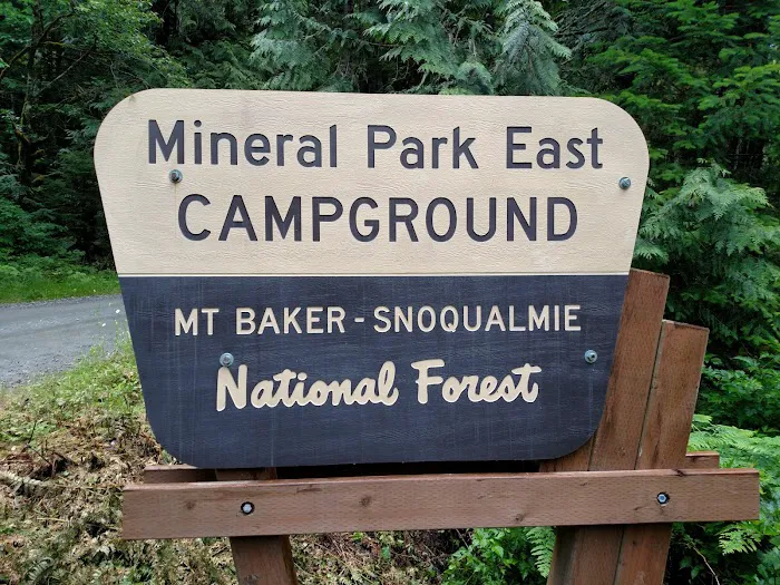 Mineral Park Campground Picture 10