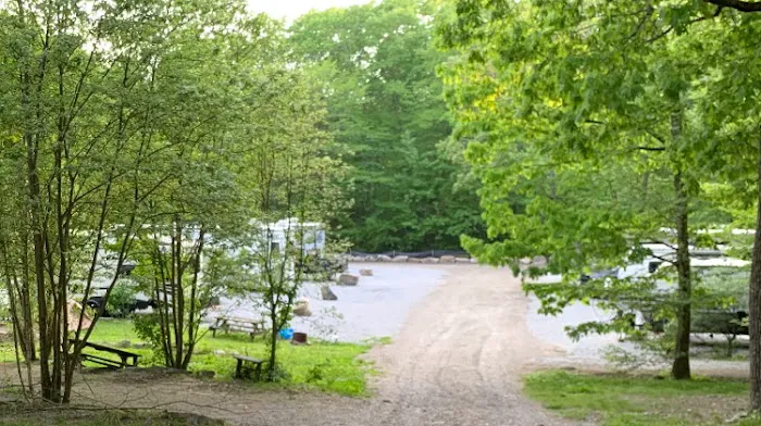 Douglas Forest RV Resort Picture 2