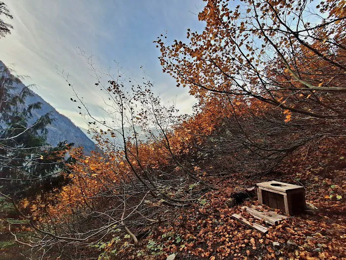 Johannesburg Campground Picture 8