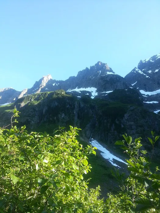 Johannesburg Campground Picture 9