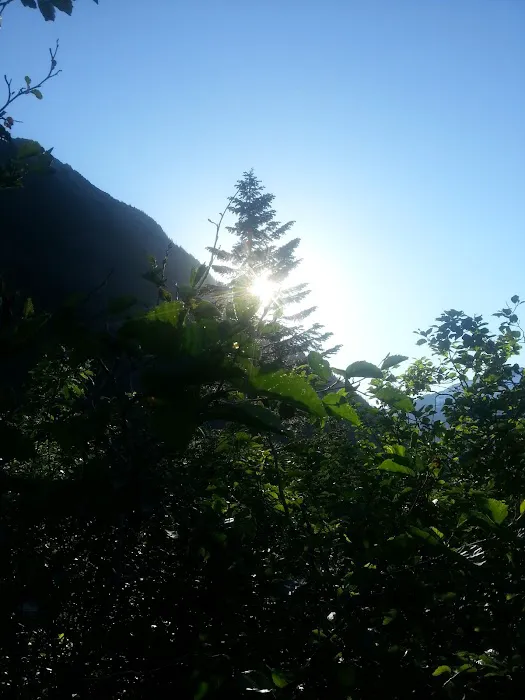 Johannesburg Campground Picture 10