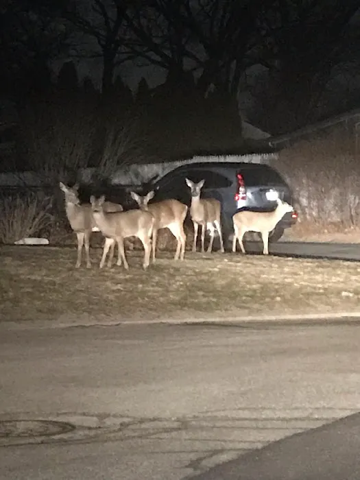 Sherwood Valley Adult Mobile Picture 2