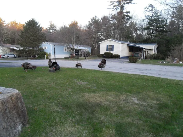 Sherwood Valley Adult Mobile Picture 4