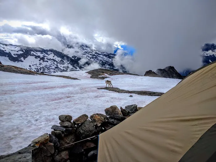 Sahale Glacier Campground Picture 1