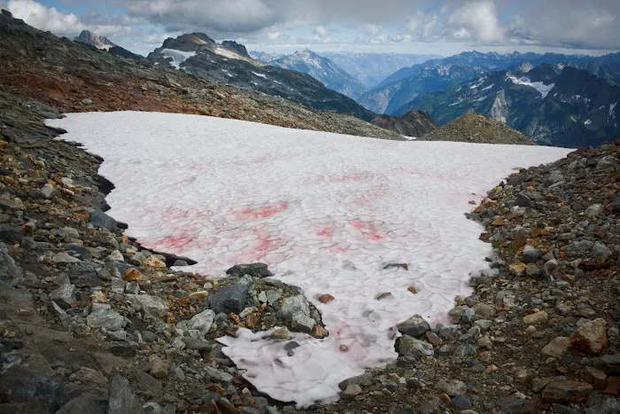 Sahale Glacier Campground Picture 2