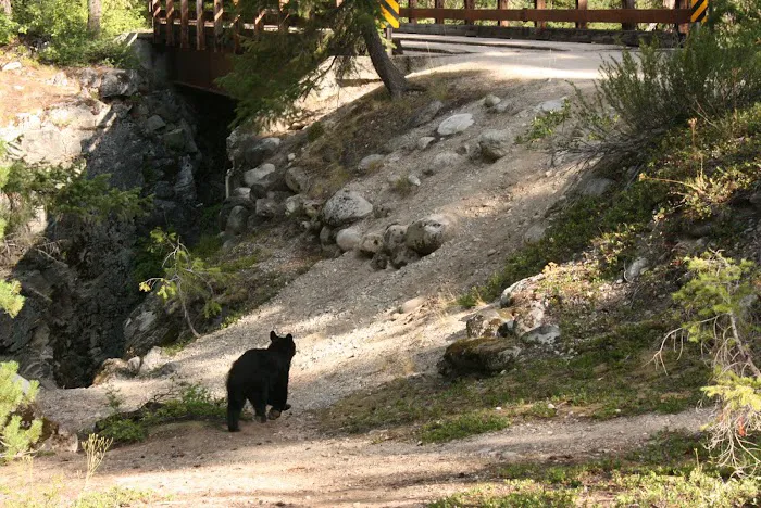 High Bridge Campground Picture 2