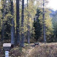Holden Ballpark Campground ico