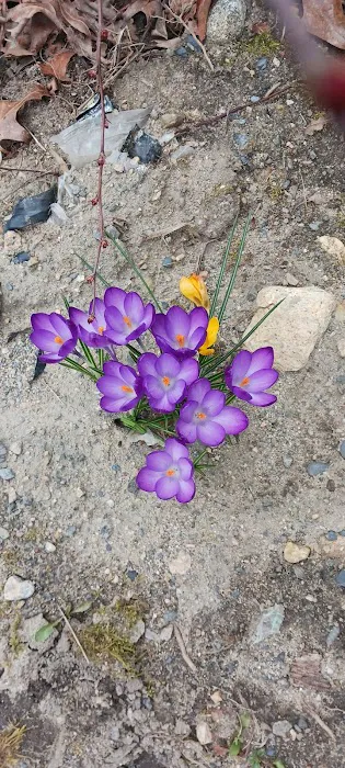 Post Road Mobile Home Park Picture 2