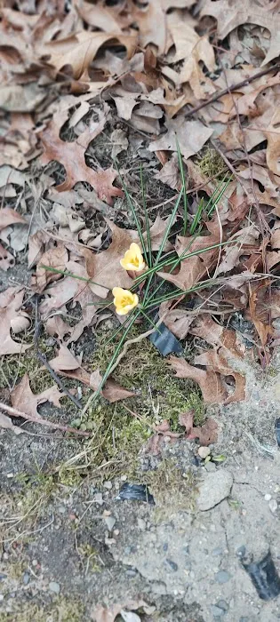 Post Road Mobile Home Park Picture 5