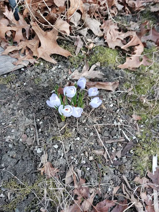 Post Road Mobile Home Park Picture 7