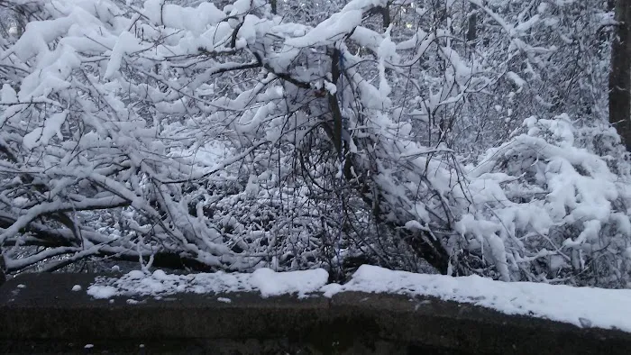 Kingstown Park Mobile Home & Sales Picture 3