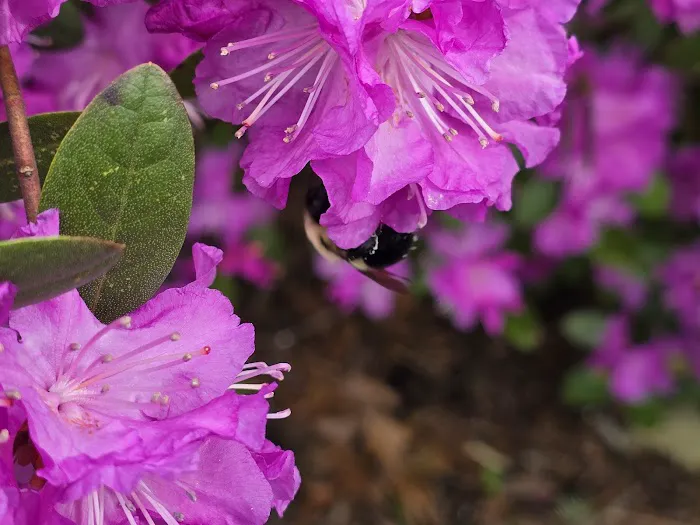 Kingstown Park Mobile Home & Sales Picture 8