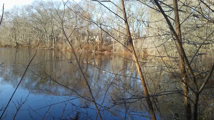 Kingstown Park Mobile Home & Sales Picture 7