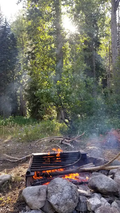 Phelps Creek Campground/Horse Camp Picture 1