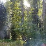 Phelps Creek Campground/Horse Camp