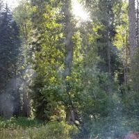 Phelps Creek Campground/Horse Camp ico