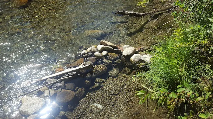 Goose Creek Campground Picture 2