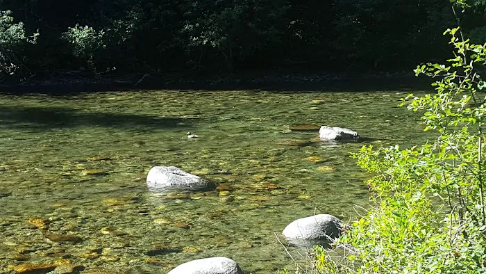 Goose Creek Campground Picture 1