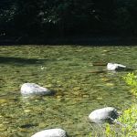 Goose Creek Campground