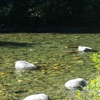 Goose Creek Campground ico