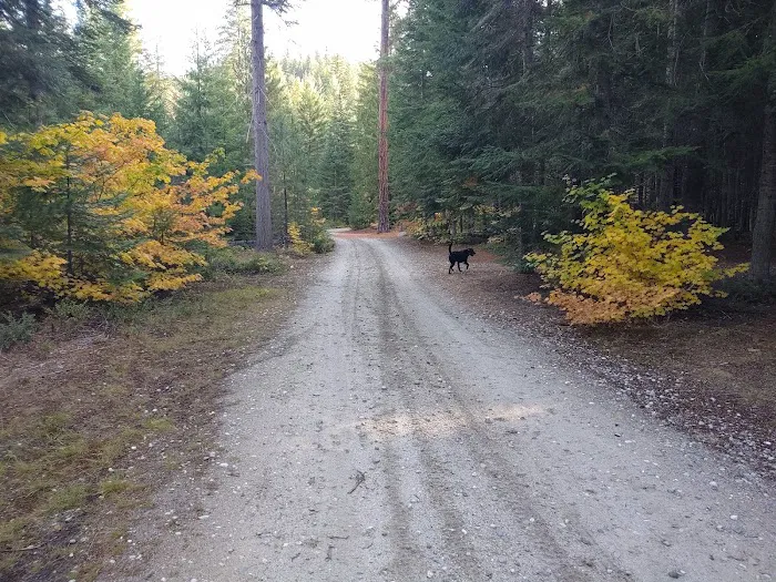 Goose Creek Campground Picture 9