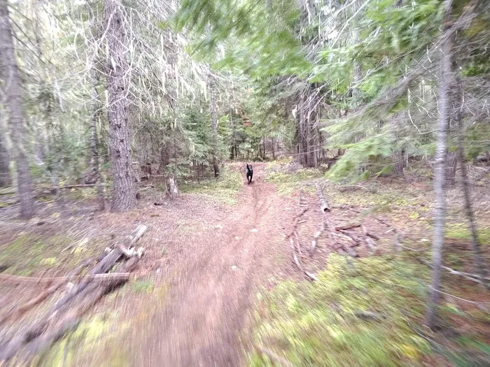 Goose Creek Campground Picture 3