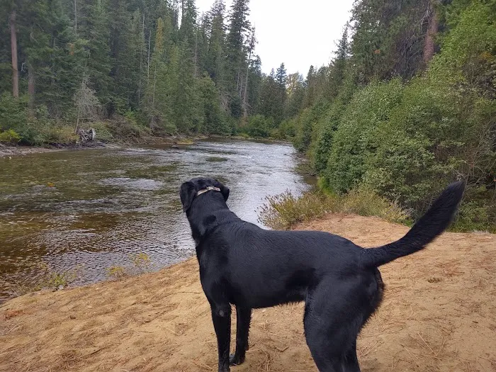 Goose Creek Campground Picture 10