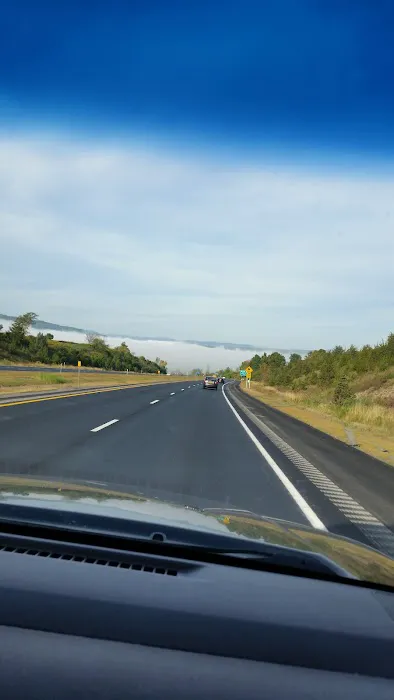 Oak Hill Trailer Park Picture 8