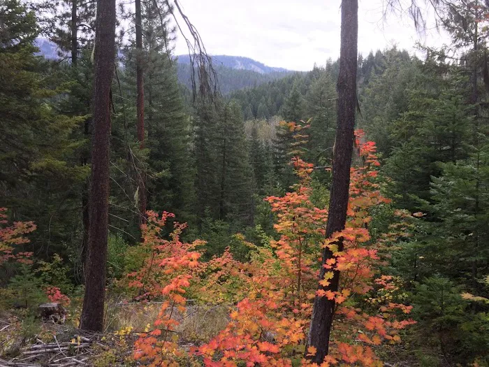 Thousand Trails Leavenworth Picture 8
