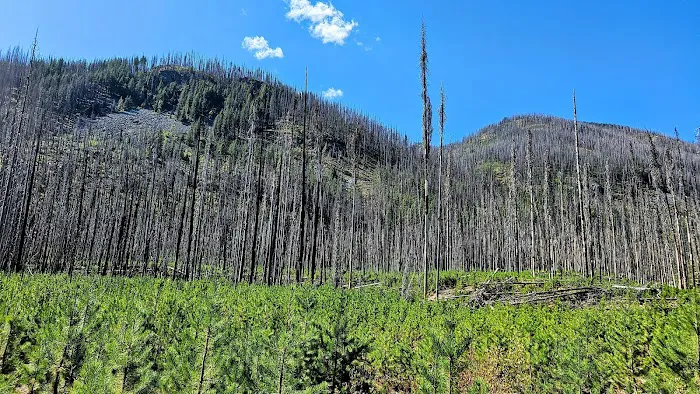 Cottonwood Campground - Entiat Ranger District Picture 2