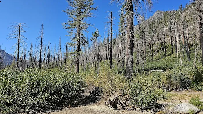 Cottonwood Campground - Entiat Ranger District Picture 3