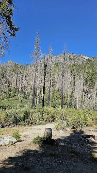 Cottonwood Campground - Entiat Ranger District Picture 1