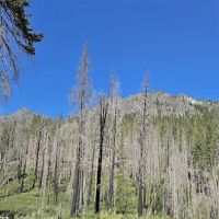Cottonwood Campground - Entiat Ranger District ico