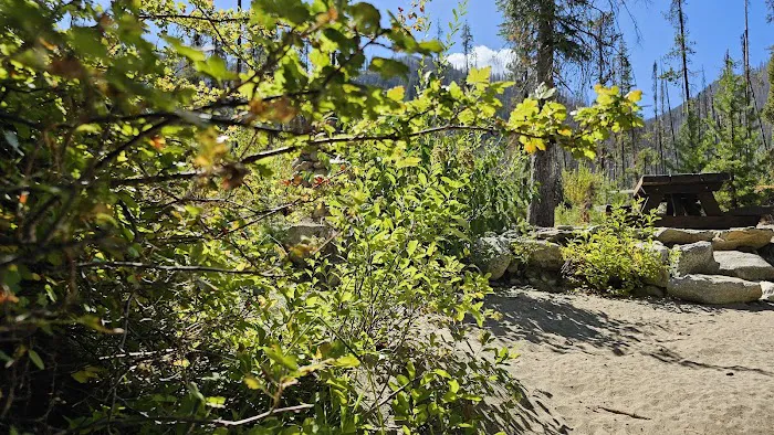 Cottonwood Campground - Entiat Ranger District Picture 9