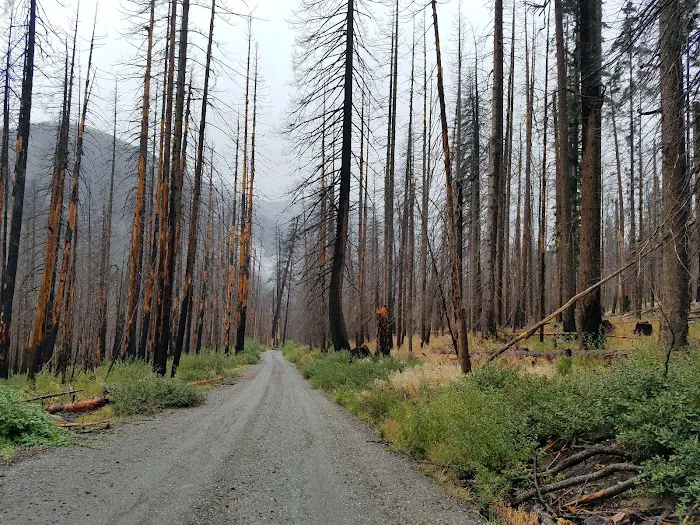 Cottonwood Campground - Entiat Ranger District Picture 7