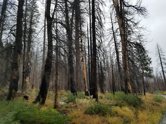 Cottonwood Campground - Entiat Ranger District Picture 10