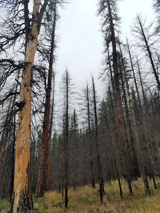 Cottonwood Campground - Entiat Ranger District Picture 8