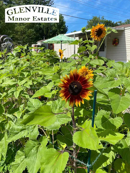 Glenville Manor Estates Picture 10