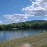 Arrowhead Marina & RV Park