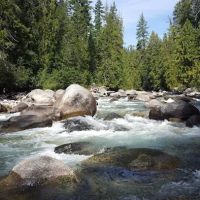 Spruce Grove Campground ico