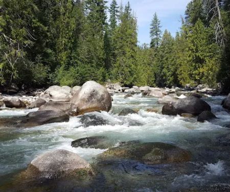 Spruce Grove Campground