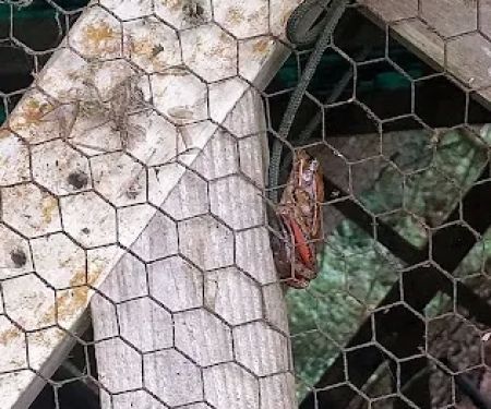 Lewis County Campgrounds