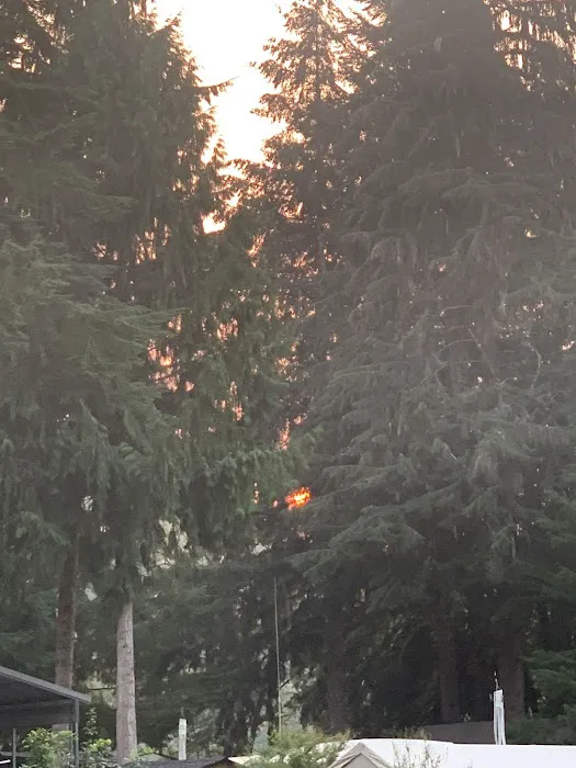 Cowlitz Timber Trails Association Picture 1